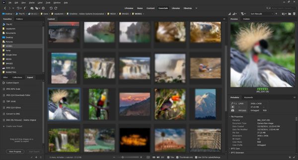 adobe bridge is an effective alternative to google photos