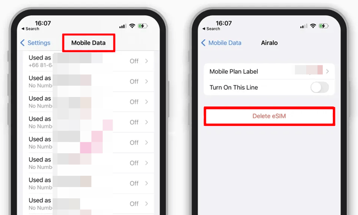 删除 iPhone 上的 ESI 卡