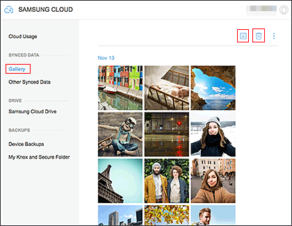 Wie kann ich Fotos in meiner Samsung Cloud verwalten?