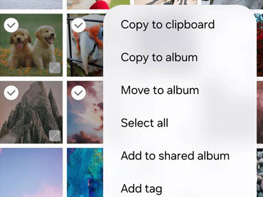 organize photos on samsung gallery app