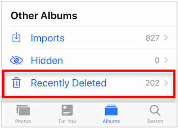 regain the deleted whatsapp videos on iphone from the recently deleted folder