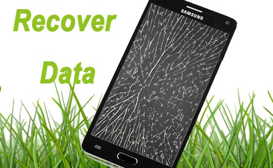 recover data from dead phone