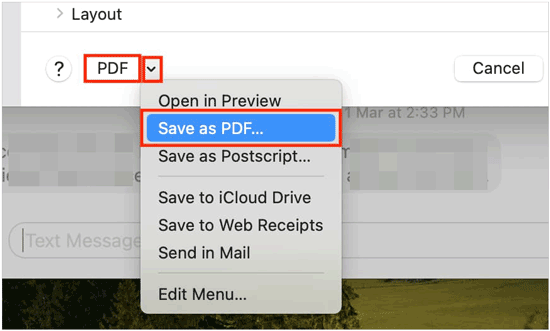 在 Mac 上将 iPhone 信息保存为 PDF 文件