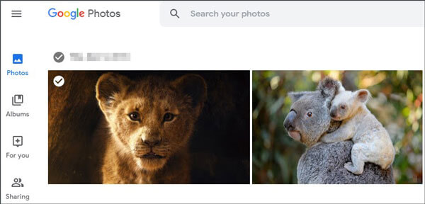 upload images with the web of google photos