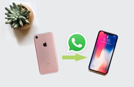 WhatsApp vom iPhone auf das iPhone übertragen