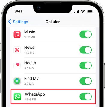 如果您无法保存 Whatsapp 中的图片，请启用 Whatsapp 的蜂窝网络设置