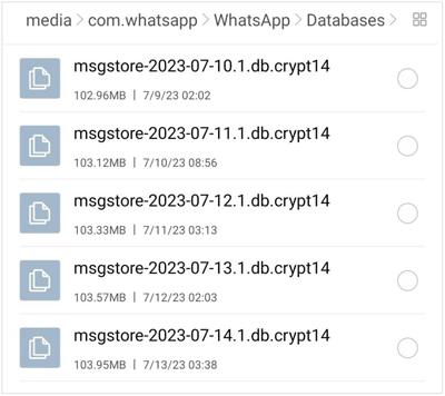 rename the whatsapp backup file