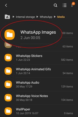 从内部文件夹中检索 Android 上已删除的 Whatsapp 图片