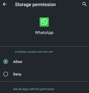 activez l'autorisation de stockage WhatsApp sur Android lorsque vous ne pouvez pas enregistrer de fichiers multimédias à partir de l'application