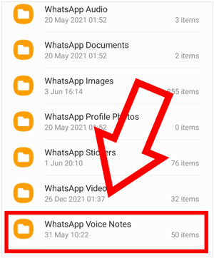 trouver des données vocales WhatsApp sur Android